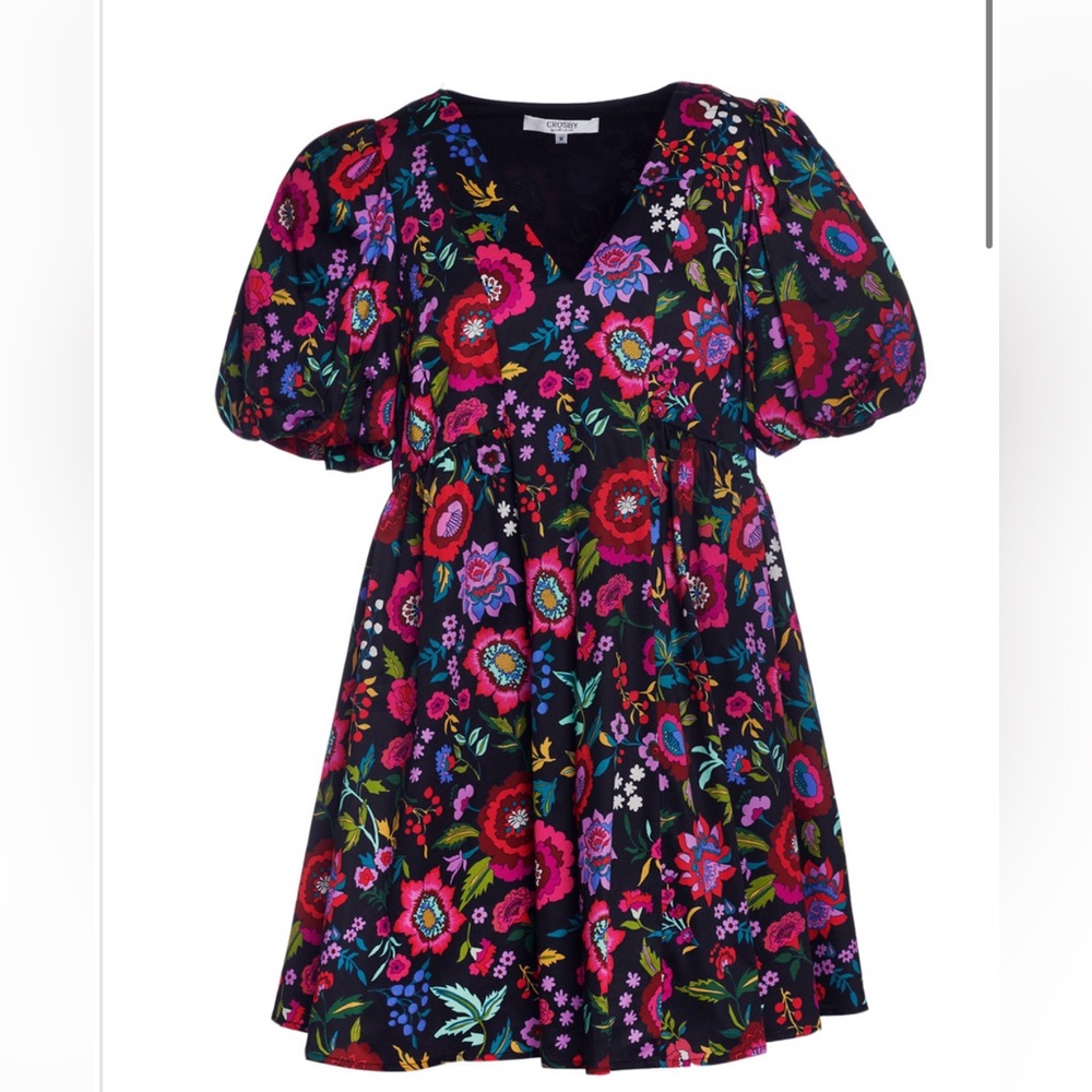 CROSBY by Mollie Burch Kilby dress, XL